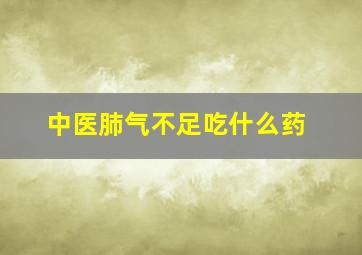 中医肺气不足吃什么药