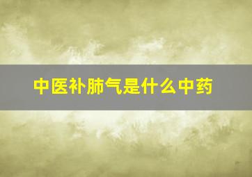 中医补肺气是什么中药