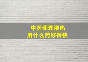 中医调理湿热用什么药好得快