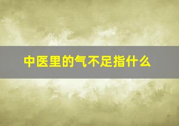 中医里的气不足指什么