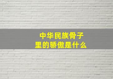 中华民族骨子里的骄傲是什么