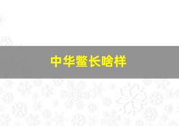 中华鳖长啥样