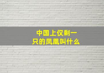 中国上仅剩一只的凤凰叫什么