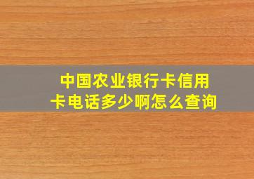 中国农业银行卡信用卡电话多少啊怎么查询