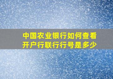 中国农业银行如何查看开户行联行行号是多少