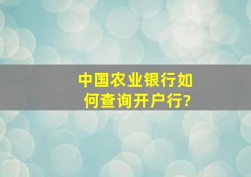 中国农业银行如何查询开户行?