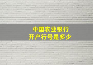 中国农业银行开户行号是多少