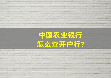 中国农业银行怎么查开户行?