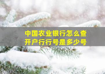 中国农业银行怎么查开户行行号是多少号