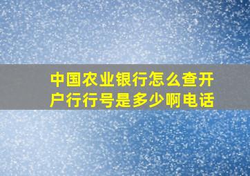 中国农业银行怎么查开户行行号是多少啊电话