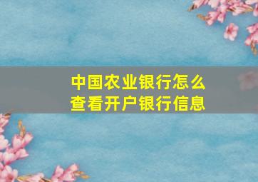 中国农业银行怎么查看开户银行信息