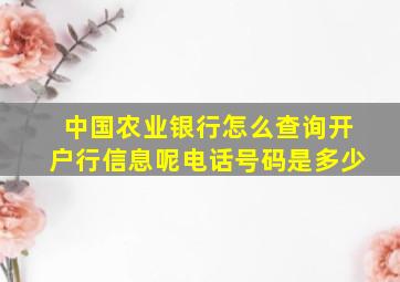 中国农业银行怎么查询开户行信息呢电话号码是多少