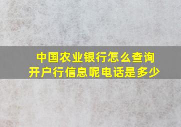 中国农业银行怎么查询开户行信息呢电话是多少