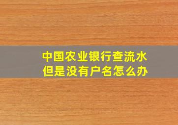 中国农业银行查流水 但是没有户名怎么办