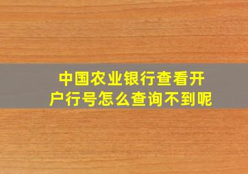 中国农业银行查看开户行号怎么查询不到呢