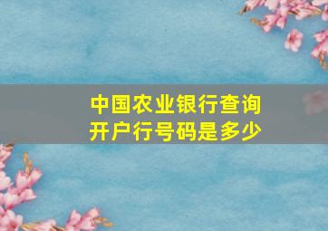 中国农业银行查询开户行号码是多少