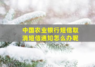 中国农业银行短信取消短信通知怎么办呢