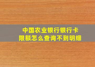 中国农业银行银行卡限额怎么查询不到明细