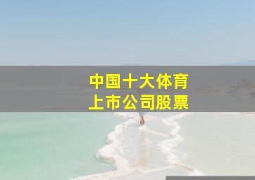 中国十大体育上市公司股票