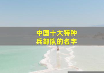 中国十大特种兵部队的名字