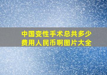 中国变性手术总共多少费用人民币啊图片大全