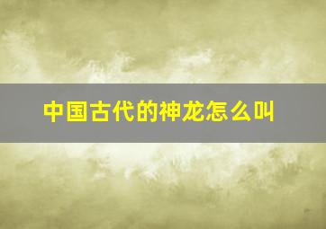 中国古代的神龙怎么叫