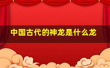 中国古代的神龙是什么龙