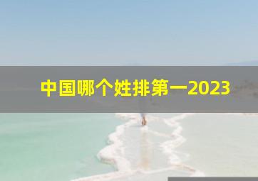 中国哪个姓排第一2023