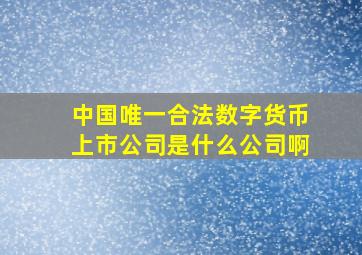 中国唯一合法数字货币上市公司是什么公司啊