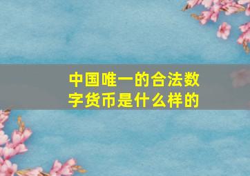 中国唯一的合法数字货币是什么样的