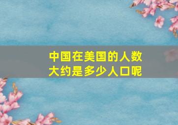 中国在美国的人数大约是多少人口呢