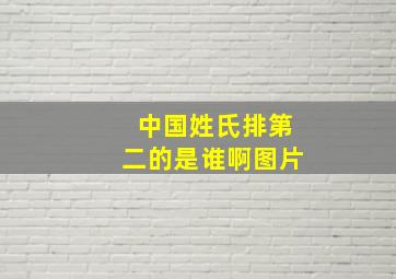 中国姓氏排第二的是谁啊图片