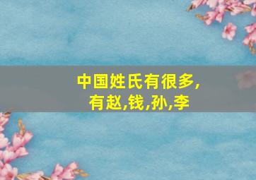 中国姓氏有很多,有赵,钱,孙,李