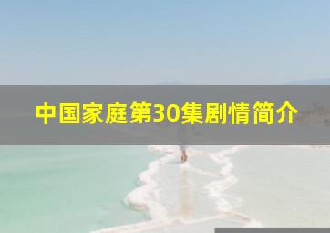 中国家庭第30集剧情简介