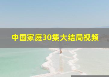 中国家庭30集大结局视频