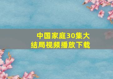 中国家庭30集大结局视频播放下载