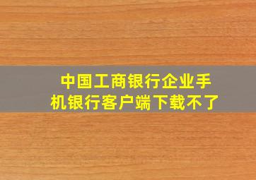 中国工商银行企业手机银行客户端下载不了