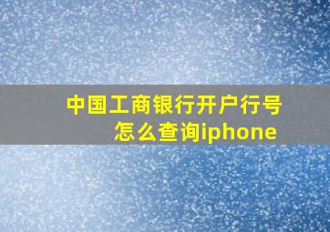 中国工商银行开户行号怎么查询iphone