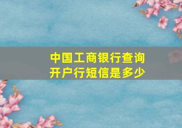 中国工商银行查询开户行短信是多少