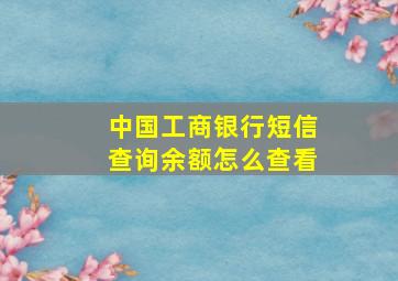 中国工商银行短信查询余额怎么查看