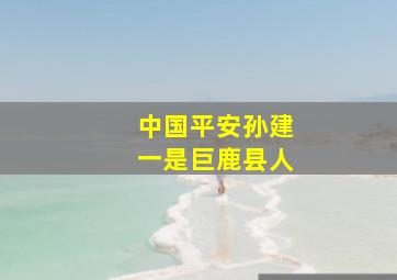 中国平安孙建一是巨鹿县人