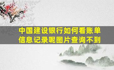 中国建设银行如何看账单信息记录呢图片查询不到