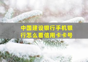 中国建设银行手机银行怎么看信用卡卡号