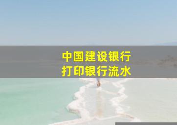 中国建设银行打印银行流水