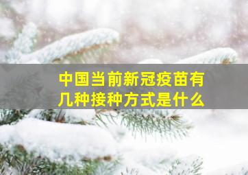 中国当前新冠疫苗有几种接种方式是什么