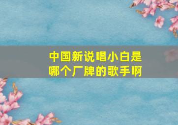 中国新说唱小白是哪个厂牌的歌手啊