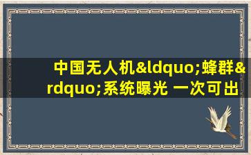 中国无人机“蜂群”系统曝光 一次可出动200架