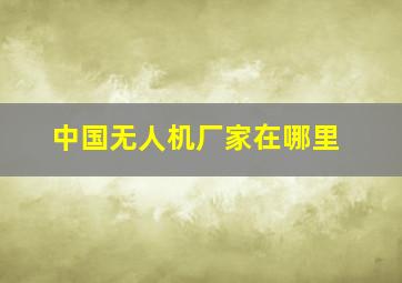 中国无人机厂家在哪里