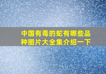 中国有毒的蛇有哪些品种图片大全集介绍一下