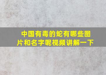 中国有毒的蛇有哪些图片和名字呢视频讲解一下